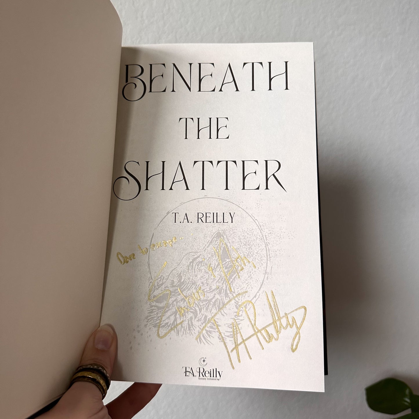 Scattered Destinies Paperback Bundle