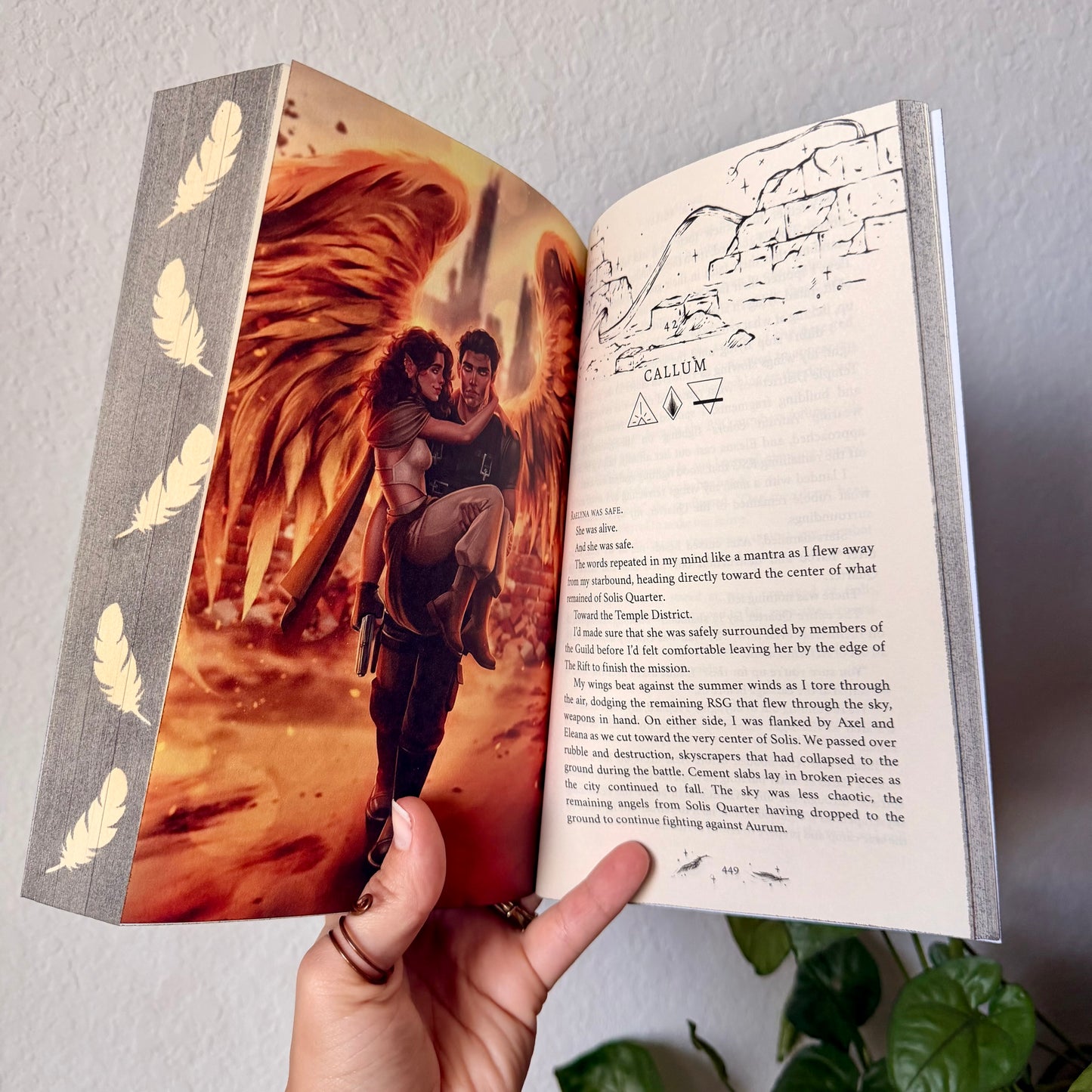 Solis Falling Paperback