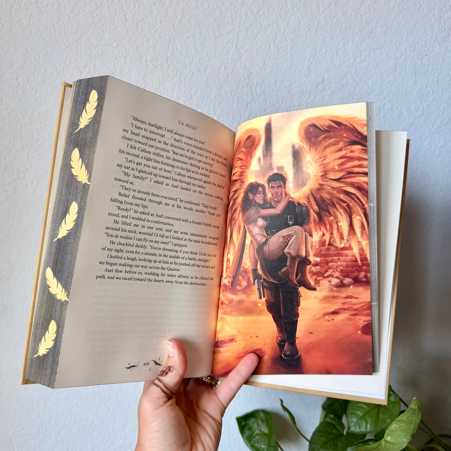 Solis Falling Hardcover