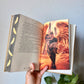 Solis Falling Hardcover