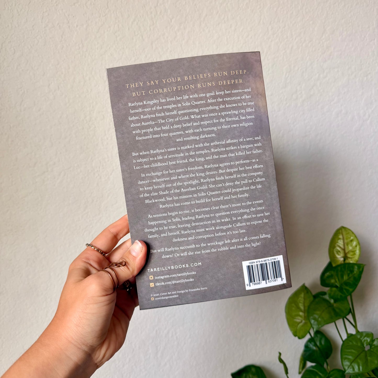 Solis Falling Paperback