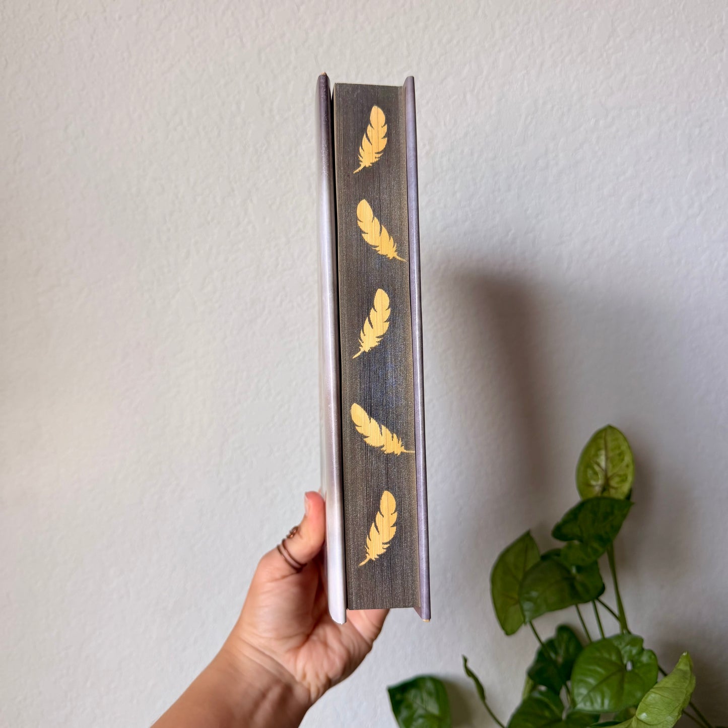 Solis Falling Hardcover