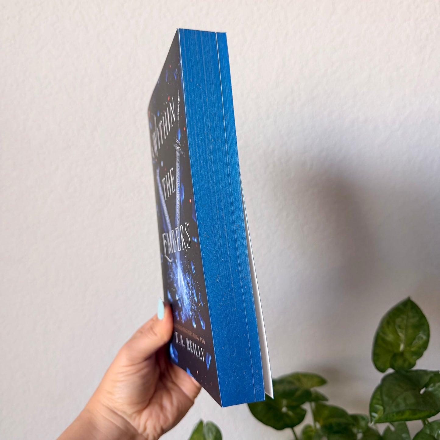 Within the Embers Paperback