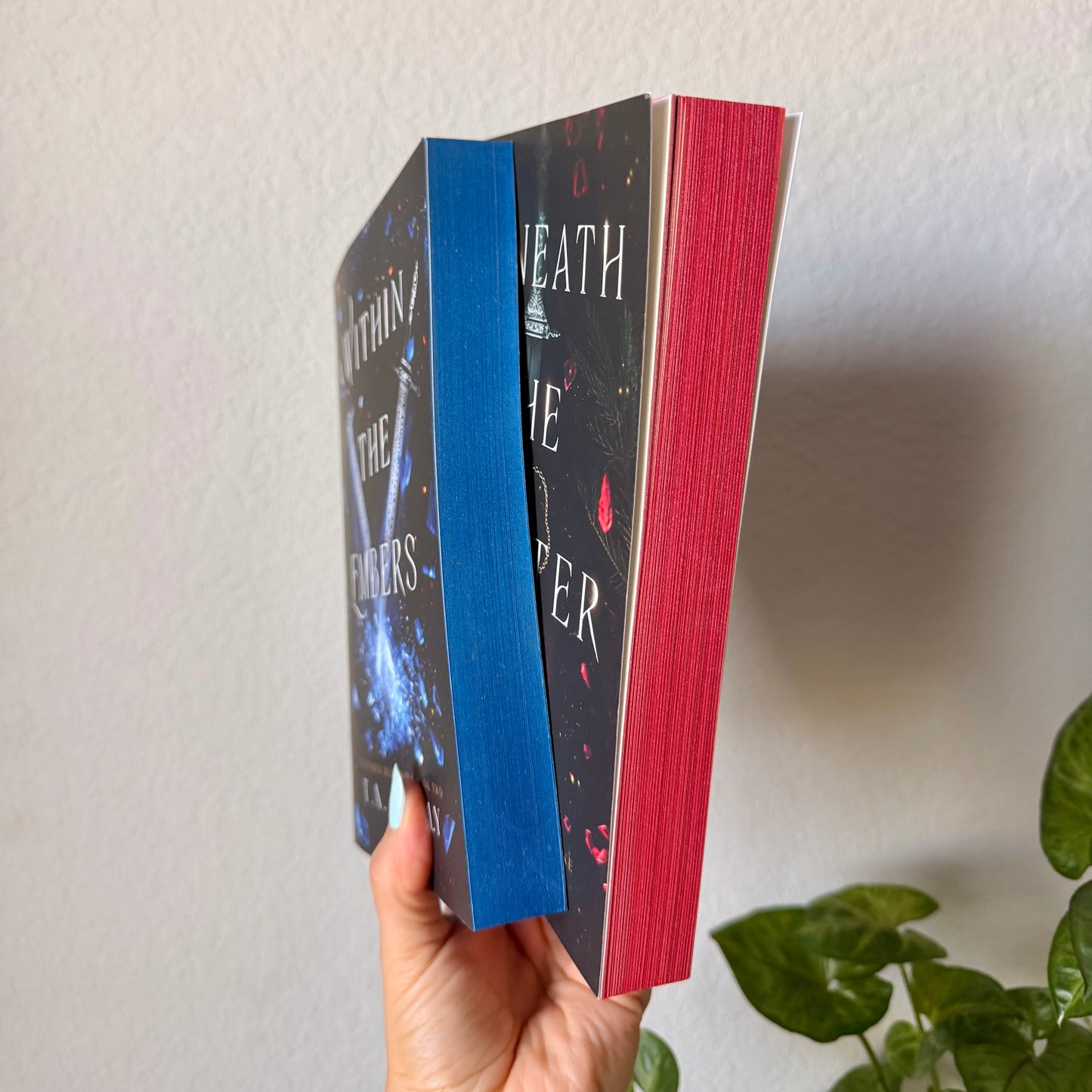 Scattered Destinies Paperback Bundle