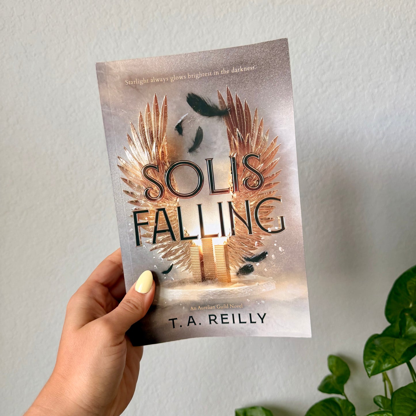 Solis Falling Paperback
